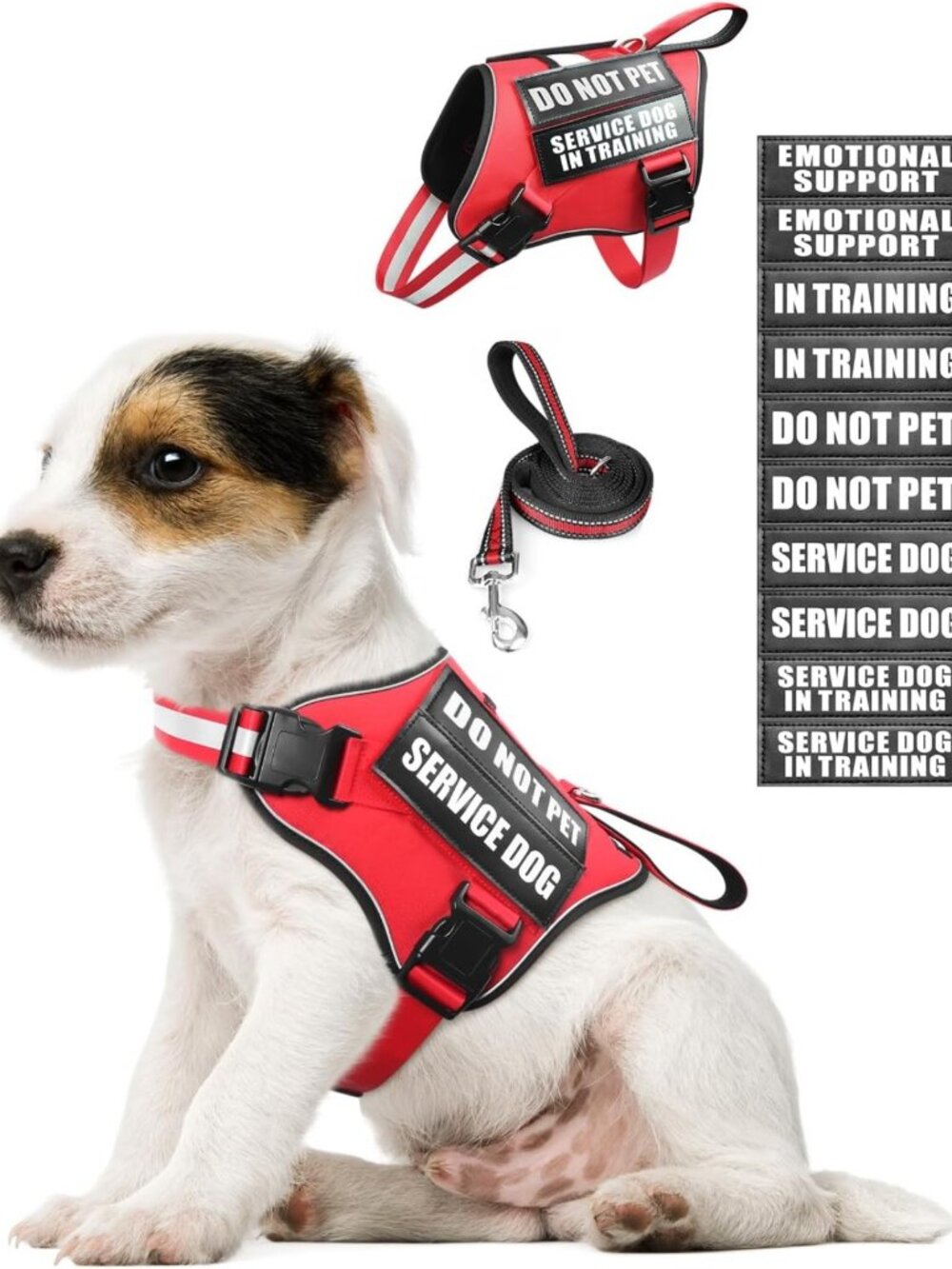 Adjustable Reflective Service Dog Vest Harness & Leash Set + 10 Patches, XS